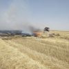 آتش سوزی مزرعه گندم | عکس از : حمید چنارانی