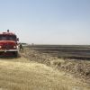 آتش سوزی مزرعه گندم | عکس از : حمید چنارانی