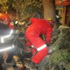 برخورد زانتیا با درخت | عکس از : حمید چنارانی