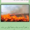 نکات ایمنی برای پیشگیری از آتش سوزی مزارع کشاورزی نکات ایمنی برای پیشگیری از آتش سوزی مزارع کشاورزی