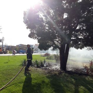 آتش نشانی نیشابور - با اقدام به موقع آتش نشانان از سرایت آتش به درختان باغ امین الاسلامی جلوگیری شد