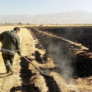 آتش نشانی نیشابور - آتش سوزی مزارع کشاورزی همچنان ادامه دارد 