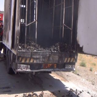 آتش نشانی نیشابور - جوجه های یک روزه در کام آتش 