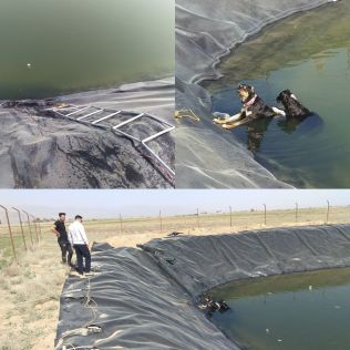 آتش نشانی نیشابور - نجات دوقلاده سگ