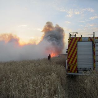 آتش نشانی نیشابور - آتش سوزی مزارع و سفالی زارها