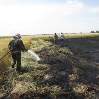 آتش نشانی نیشابور - آتش سوزی مزرعه