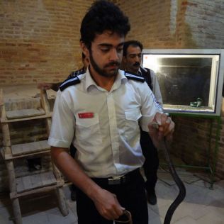 آتش نشانی نیشابور - آموزش شناخت مار برای آتش نشانان