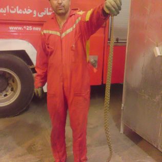 آتش نشانی نیشابور - گرم شدن هوا و پیدا شدن مارها