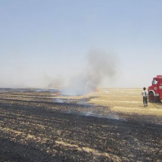 آتش نشانی نیشابور - آتش سوزی مزرعه گندم