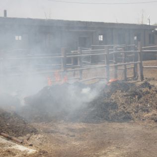 آتش نشانی نیشابور - آتش سوزی انبار پرس در داخل دامداری