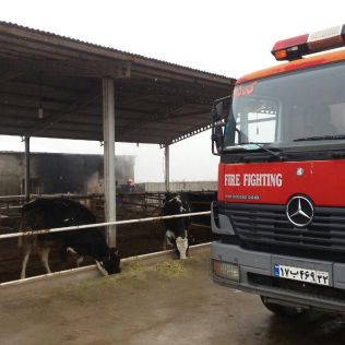 آتش نشانی نیشابور - مهار آتش سوزی یک مرغداری و یک دامداری توسط آتش نشانان نیشابور