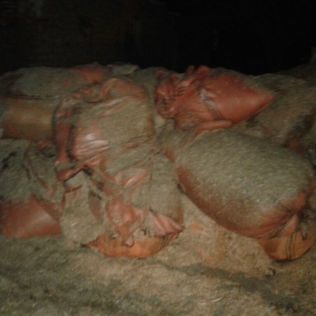 آتش نشانی نیشابور - جوشکاری در انبار کاه و علوفه موجب آتش سوزی شد