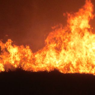 آتش نشانی نیشابور - آتش سوزی مزرعه گندم