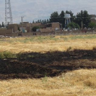 آتش نشانی نیشابور - آتش سوزی مزرعه گندم