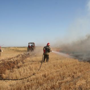 آتش نشانی نیشابور - آتش سوزی مزرعه گندم