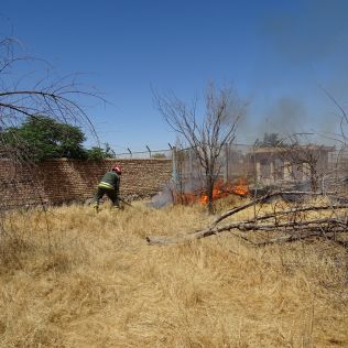 آتش نشانی نیشابور - آتش زدن علفهای هرز به جان درختان باغ میوه افتاد