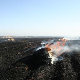 آتش نشانی نیشابور - آتش سوزی خرمن کوب و خرمن